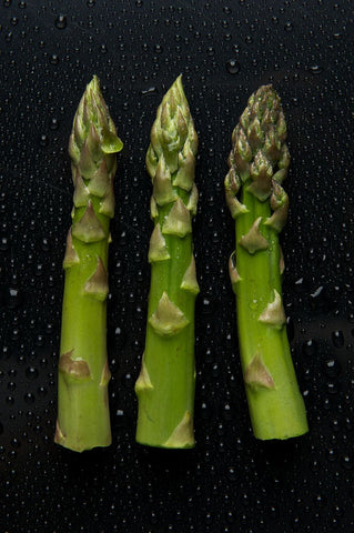 Asparagus officinalis, Asparagus - Mary Washington
