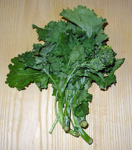 Brassica Rapa, Broccoli Raab (Cima di Rapa)