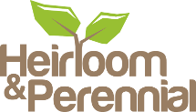 Heirloom & Perennial Ltd
